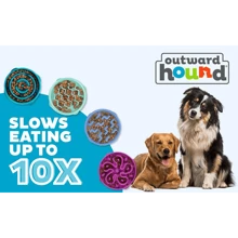 Outward Hound Fun Feeder Slo Bowl, Medium Slow Feeder Dog Bowl, 2 Cups, Turquoise