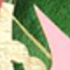 彩色