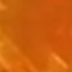 trái cam