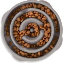 Women  Outward Hound Fun Feeder Slo Bowl, Medium Slow Feeder Dog Bowl, 2 Cups, Turquoise - Xám - Xem 1