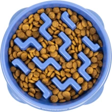 Women  Outward Hound Fun Feeder Slo Bowl, Medium Slow Feeder Dog Bowl, 2 Cups, Turquoise - Màu xanh lam - Xem 1