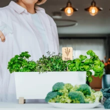 12/24pcs Vanilla Garden Plant Markers - Best Gift Set For Women, Moms, Durable Acrylic Plant Labels With Name, Assorted Designs, Suitable For Indoor And Outdoor Use, Great For Potted Plants And Nursery Decor - Multicolor - View 5