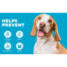 Women  Outward Hound Fun Feeder Slo Bowl, Medium Slow Feeder Dog Bowl, 2 Cups, Turquoise