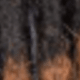1b/30 màu