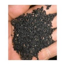 Seeds 150 THAI BASIL SEEDS FRESH FOR GARDENS US SELLER SHIPS QUICK - 1 - View 11