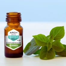 ARO+ MEXICO Aceite Esencial Albahaca Aromaterapia, Puro, Uso Terapéutico - ALBAHACA - Ver 5