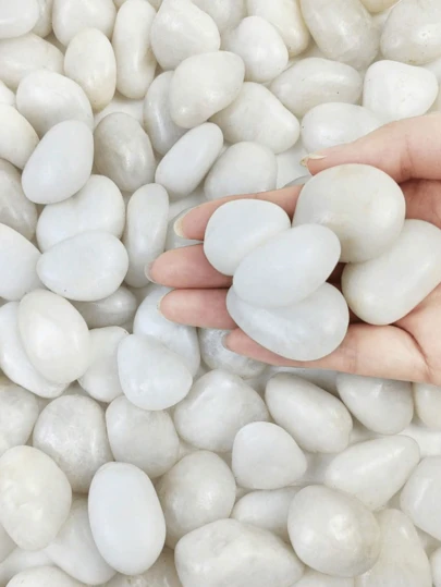 500g White River Pebbles For Indoor Plants, 1-2 Inch Natural Polished Decorative Stones For Aquarium, Vase Filler, Potting Plants, Fish Tank, Gardening & Valentine's Day Party Decor (Each Piece Uniquely Shaped)