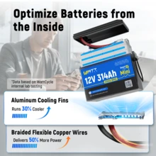 WattCycle 12V 314Ah LiFePO₄ Battery|200A BMS, 4019Wh High Capacity, Bluetooth Connectivity, Fit For RVs/Yachts/Trolling Motors, Full - Scenario Long - Range Power Solution - 12V 314Ah MINIBT - 查看 10
