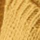 Yellow Apricot