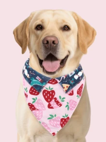 Random 3-Color Cartoon Pattern Fashion Scarf - Dog And Cat Drool Bib And Decorative Accessories, Cute Pet Style, Triangular Design, Extension Belt Design, Exquisite Multifunctional Decoration, Pet Collar Alternative, Suitable For Indoor And Outdoor Use