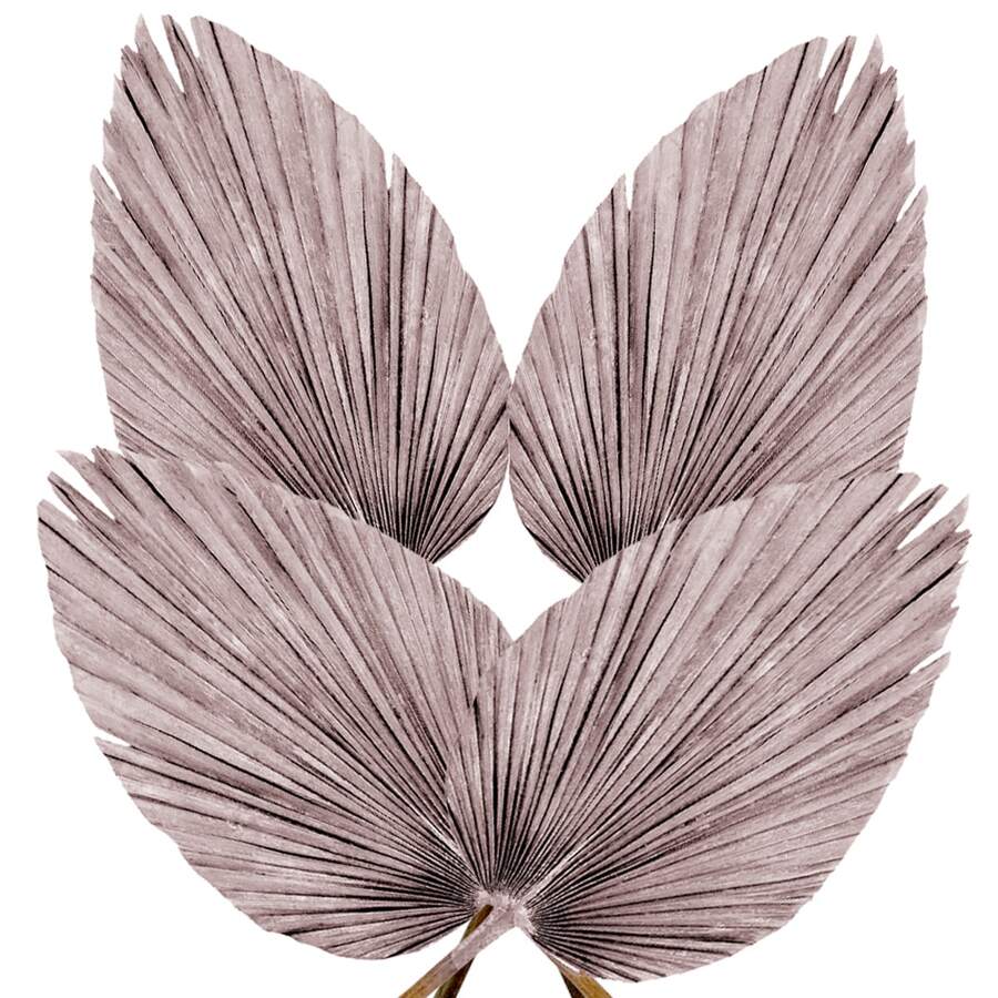 Pack Of 4 Dried Natural Fan Palms | Tropical Boho Decor For Events And Home - Baby Pink - View 1