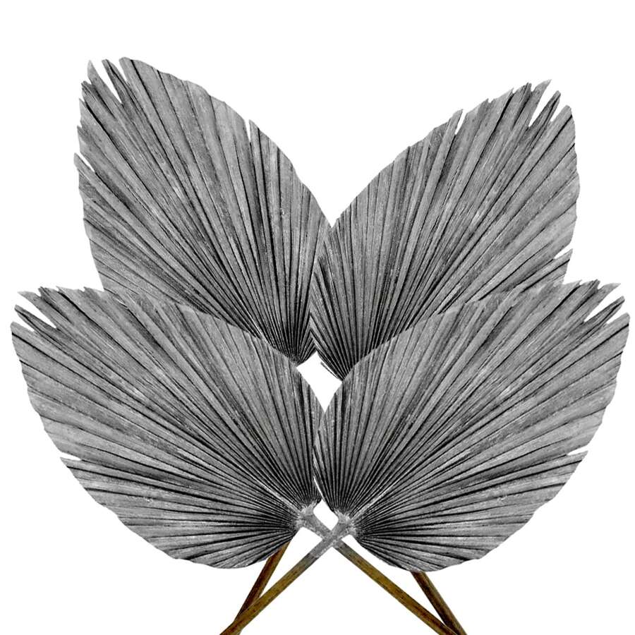 Pack de 4 Palmas Secas Abanico Natural | Decoración Boho Tropical para Eventos y Hogar - Plateado - Ver 1