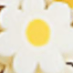 Flower Soft Clay Beads