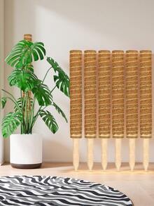1 pezzo Pali flessibili in muschio per piante, piante di Monstera, supporto per piante rampicanti, piante da appartamento, per piante in vaso, rastrelliere di supporto