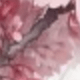彩色