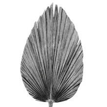 Pack de 4 Palmas Secas Abanico Natural | Decoración Boho Tropical para Eventos y Hogar - Plateado - Ver 2
