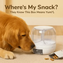 Pet Food Storage Container With Moisture-Proof Lid And 6 Grids – Smart Dispenser Box For Cat & Dog Treats, Multi-Purpose Organizer - White - View 2