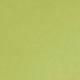 Light Grass Color