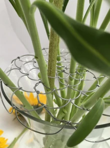 4/5/6英寸可重复使用插花支架，铁丝花艺扭扭扎带茎架，金属花瓶笼，花卉植物茎固定器，生日、毕业礼物