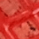 Đỏ