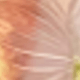彩色