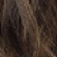 Brown Highlight