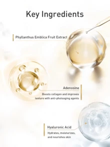 L’Oreal Paris 2支15毫升UV完美金色管状防晒霜，广谱防护，高SPF值，适合日常/户外使用，防水，控油，轻盈保湿，富含维生素E和天然植物提取物。 - 新多重防護隔離霜外禦小樣 - 查看 11