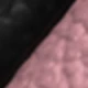 Black and Pink