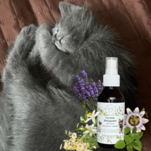 Organic Calming Relaxing Anti-Stress Lotion For Dogs, Cats, And Pets - 舒緩乳液 125 毫升 - 查看 1
