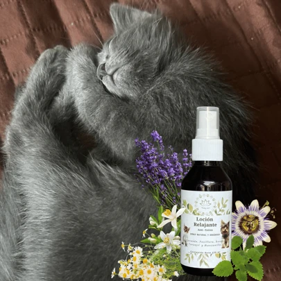 Loción Orgánica Calmante Relajante Anti-estrés Perros Gatos Mascotas