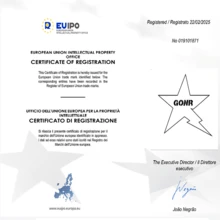 GONR Mocasines tipo estrella GONR Zapatillas casuales retro minimalistas (el tamaño corre grande, subir medio número), suela interior transpirable con aumento de altura de 2 cm, suela delgada cómoda, zapatos planos ligeros, unisex