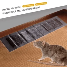 2 Pcs 1.2M Large Mice Mouse Rodent Catcher Rat Mouse Traps Indoor Super Strong Mice UK - Black - View 6