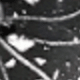 Nhiều màu