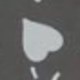 白心