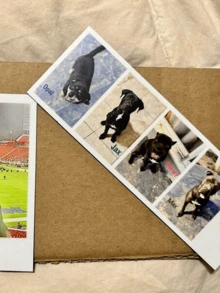 1/3/5 Pcs Custom Photo Fridge Magnets With Personalized Text Printing, Customized Picture Magnets, Decor Gift For Birthdays, Housewarming And Save The Date - Multicolor - View 5