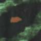 Tigre Verde