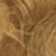S27