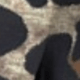 Tigre Militar
