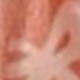 彩色