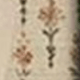 彩色