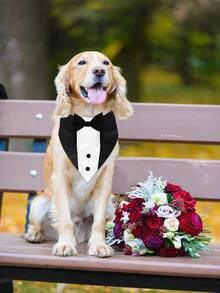 1pc Adjustable Dog Bow Tie Scarf With Bowtie Collar, Polyester All-Season Pet Accessory For Weddings, Parties And Photo Shoots, For Small To Medium Breeds, Elegant Wedding And Party Outfit