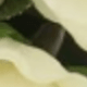 香檳色