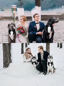 1pc Adjustable Dog Bow Tie Scarf With Bowtie Collar, Polyester All-Season Pet Accessory For Weddings, Parties And Photo Shoots, For Small To Medium Breeds, Elegant Wedding And Party Outfit