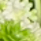 彩色