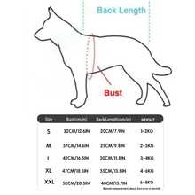 1件条纹泰迪熊/比熊犬背心，小型犬服装，春夏幼犬连衣裙，狗狗衣服 - 粉色 - 查看 10