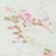 Hoa hồng