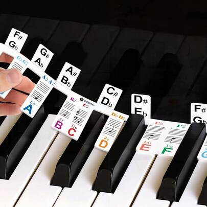 Removable Non-Sticky Piano Stickers For 61 Digital Keyboard Notes (Black-Key Half Step), With Storage Box (Rainbow)