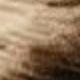 Màu vàng