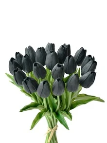Black Tulip