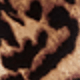 豹紋